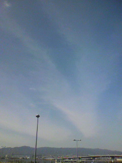胡蝶_f0082794_0254877.jpg