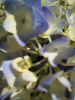 置き石_f0082794_033010.jpg