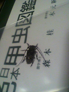 ポテ_f0082794_0414632.jpg