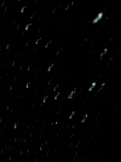 ma2撮影_f0082794_0492916.jpg