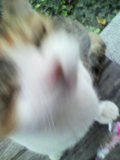 オイリー_f0082794_055691.jpg