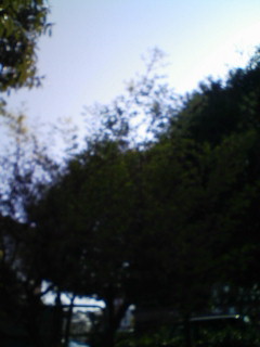 窓_f0082794_10355989.jpg
