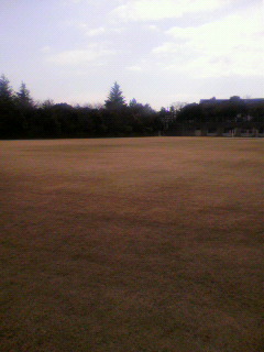 無駄飯_f0082794_10452439.jpg