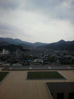 脱皮_f0082794_1085623.jpg