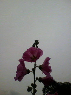 ノーコン_f0082794_11315428.jpg