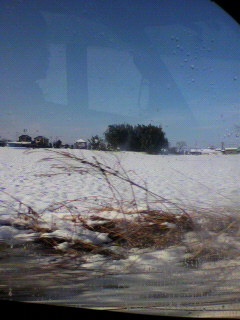 雪道_f0082794_11341842.jpg