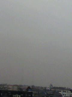 ことぶき限り無し_f0082794_11462138.jpg