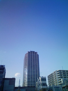 判断_f0082794_11484288.jpg