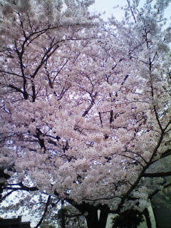 視界_f0082794_115502.jpg