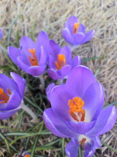 舛_f0082794_1215879.jpg