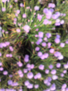 分身_f0082794_124125.jpg