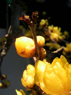 551_f0082794_12441142.jpg