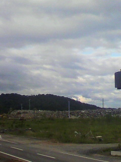 海_f0082794_12533517.jpg