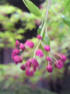 無駄無駄_f0082794_12593888.jpg