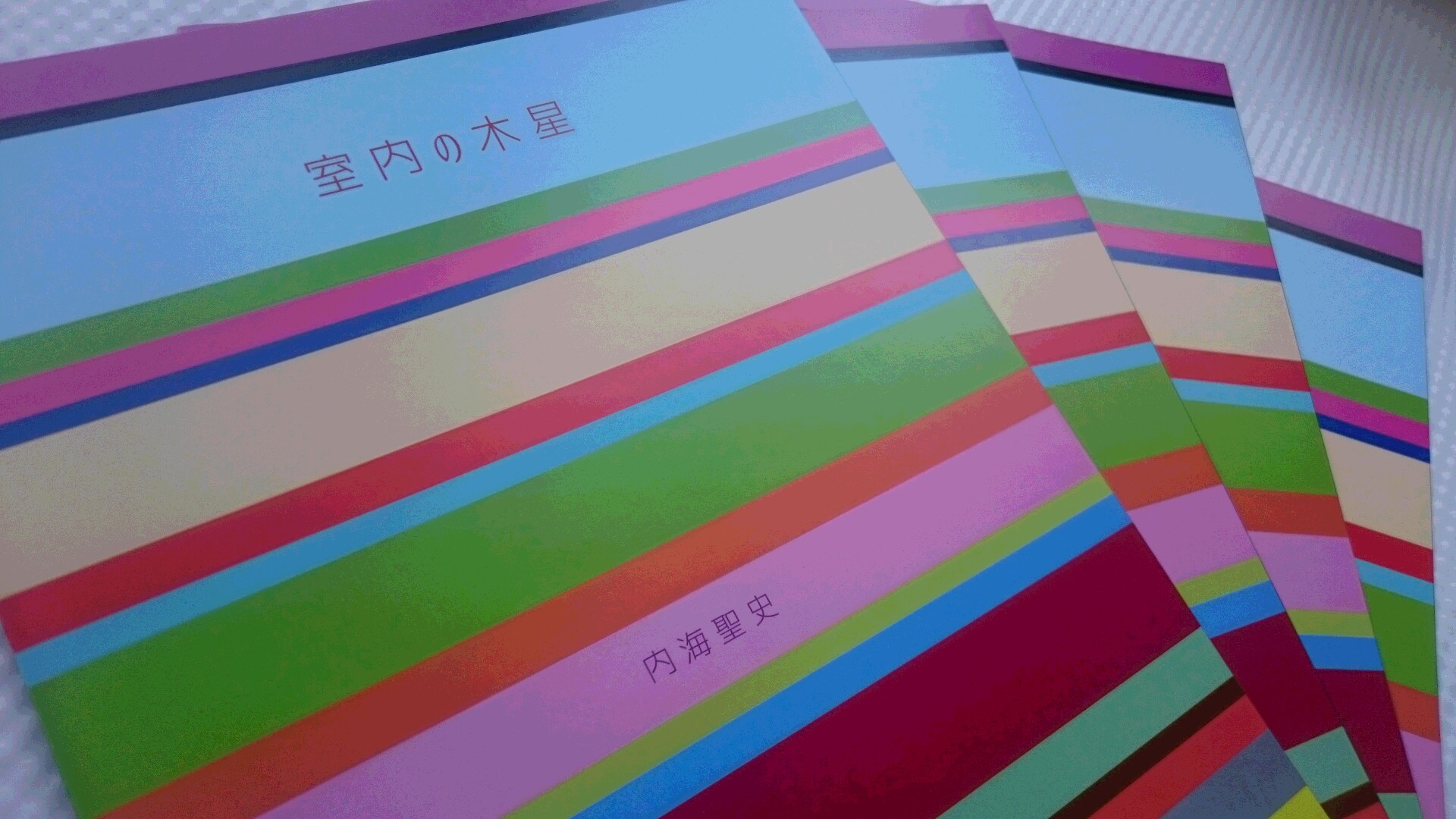 室内の木星　リーフレット_f0082794_1273884.jpg