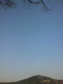 松坂_f0082794_1275872.jpg