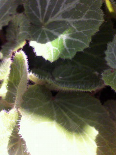void撮影_f0082794_13262234.jpg