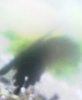 二の足_f0082794_1329977.jpg