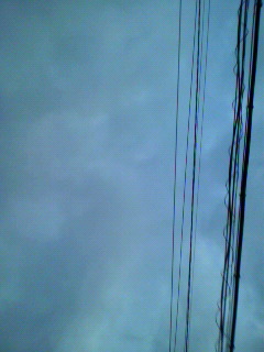 要請_f0082794_13345467.jpg