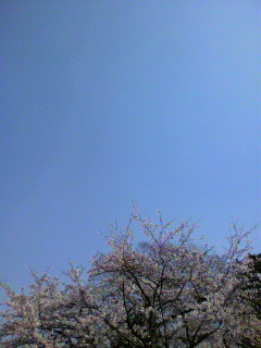 配送業_f0082794_1349278.jpg