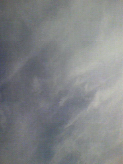 長パ_f0082794_1356576.jpg