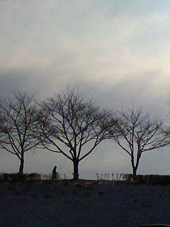 ホームセンター参り_f0082794_13592560.jpg