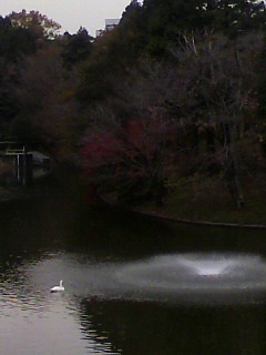 ネモト_f0082794_1393820.jpg