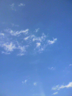 三面_f0082794_139402.jpg