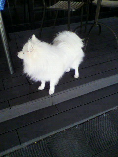 ある感覚_f0082794_14113683.jpg