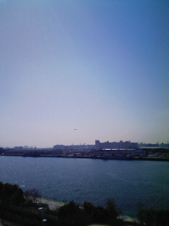 メジャー_f0082794_1418117.jpg