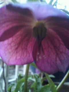 ラリー_f0082794_14181174.jpg