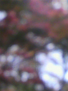 灰色の匂い_f0082794_14301447.jpg