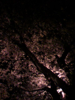 積ん読_f0082794_14351785.jpg