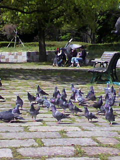 驚き_f0082794_14405965.jpg