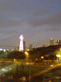 鈍化_f0082794_14463380.jpg
