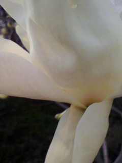 超頂点_f0082794_1447592.jpg