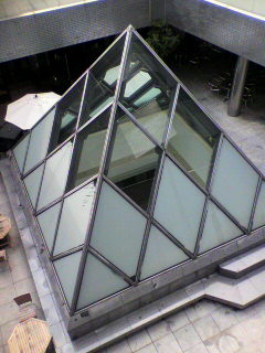 アボカ_f0082794_1503243.jpg