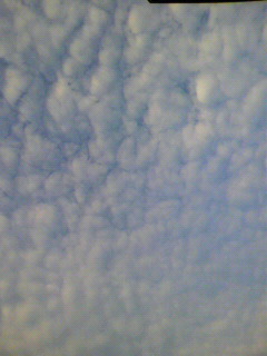 め_f0082794_1513118.jpg