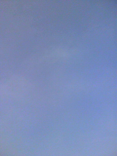 うなー_f0082794_1515088.jpg