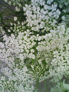 ナンスカ_f0082794_15182588.jpg