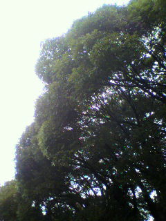 情報共有_f0082794_1519418.jpg