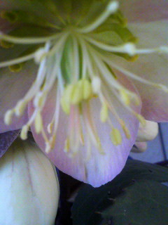 目の下降_f0082794_15203767.jpg