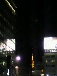 ないない_f0082794_15212811.jpg
