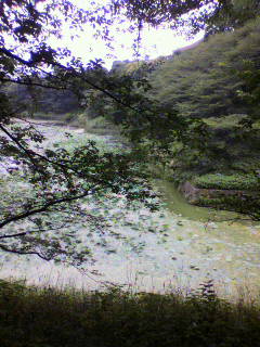 鋭利_f0082794_15255989.jpg