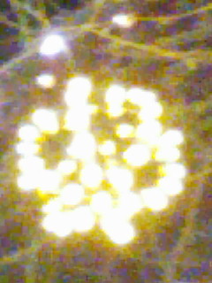 実行_f0082794_15321646.jpg