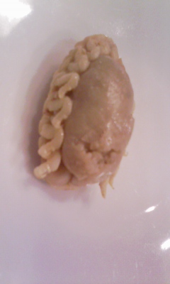 タイノエ_f0082794_15354948.jpg