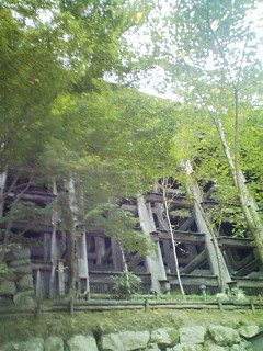 観光_f0082794_15355991.jpg