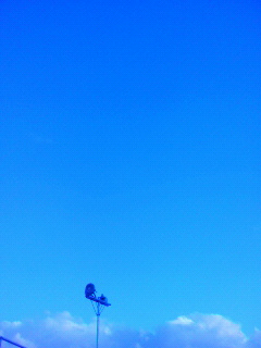 コア_f0082794_15394480.jpg