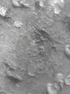 昔の眼_f0082794_15454682.jpg