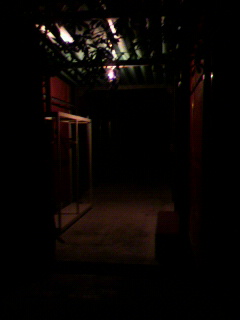 ベリー_f0082794_1555340.jpg